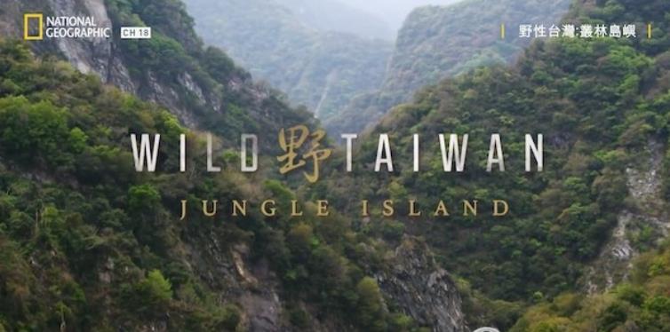 野性台湾：丛林岛屿的海报