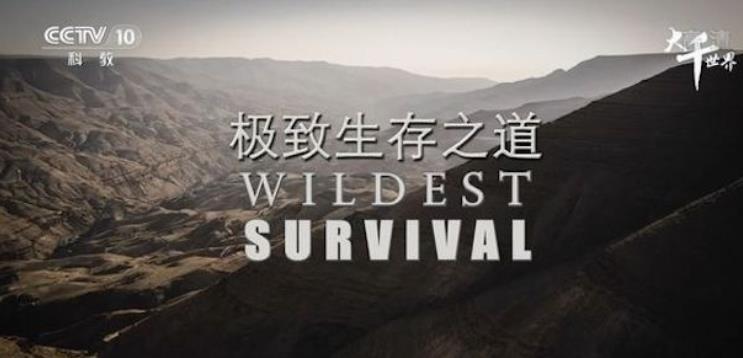 极致生存之道 Wildest Survival的海报
