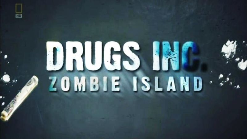 僵尸岛 Zombie Island的海报