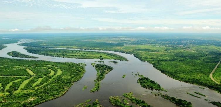 赞比西河 Zambezi的海报