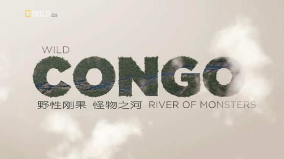 野性刚果 Wild Congo的海报