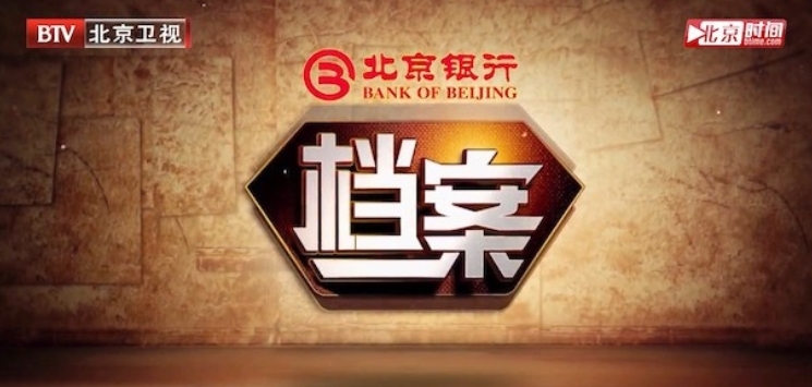 档案2011的海报