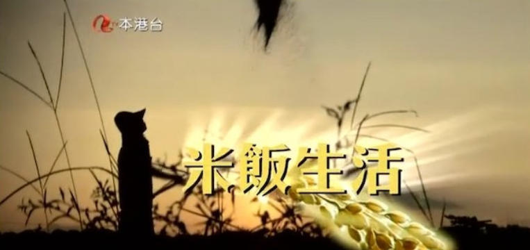 米饭生活 Rice Is Life 2014的海报