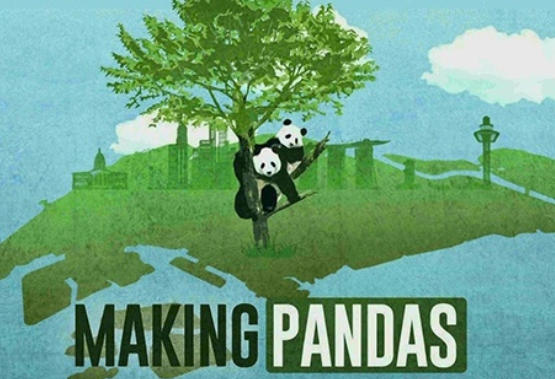 制造大熊猫 Making Pandas 2018的海报
