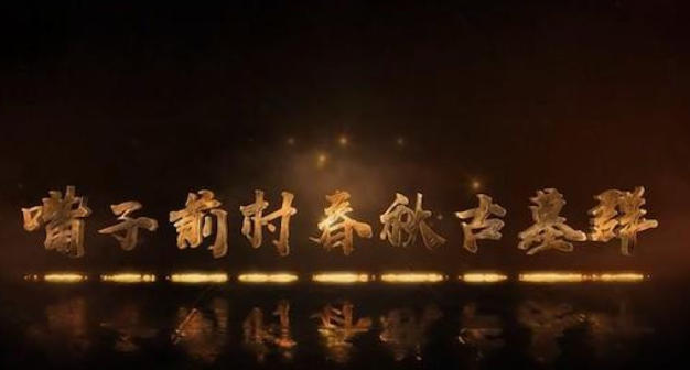 嘴子前村春秋古墓群 2022的海报