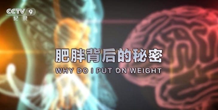 肥胖背后的秘密 Why Do I Put on Weight? 2019的海报