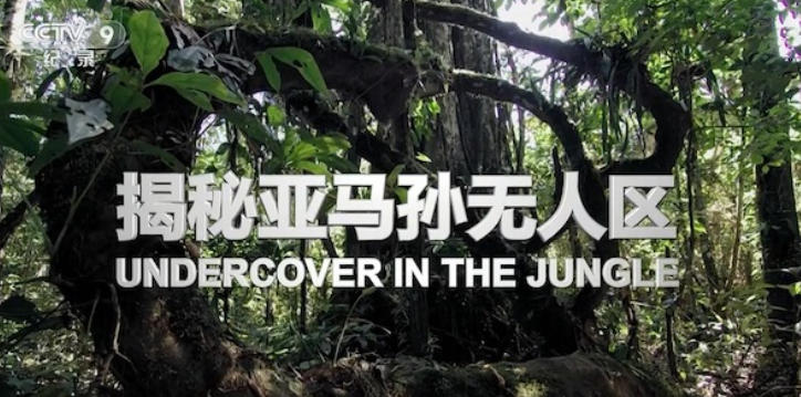 揭秘亚马孙无人区 Undercover in the Jungle 2019的海报