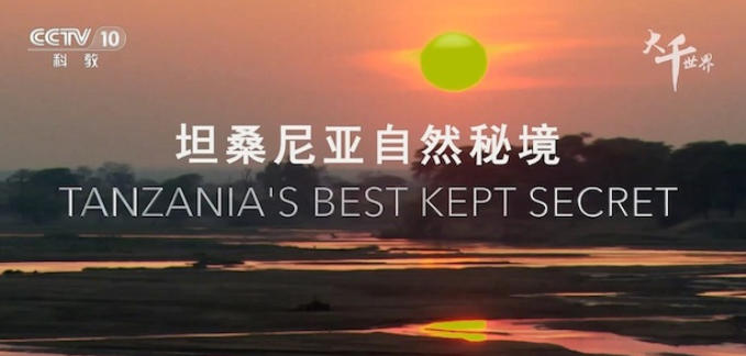 坦桑尼亚自然秘境 Tanzania's Best Kept Secrets 2017的海报