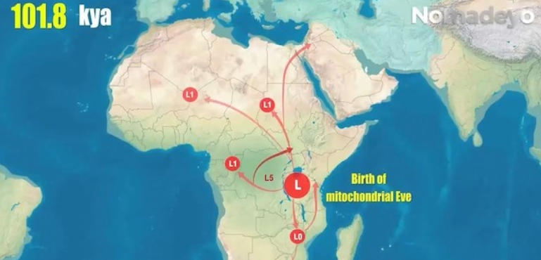 从mtDNA看人类迁徙 mtDNA Shows How Humans Migrated across the World 2021的海报