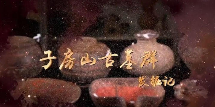 子房山古墓群发掘记 2022的海报