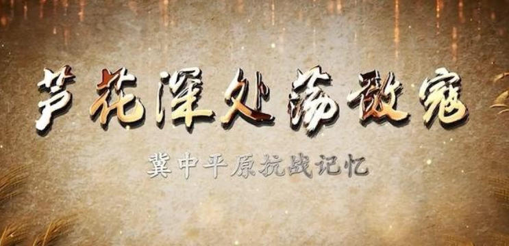 芦花深处荡敌寇：冀中平原抗战记忆 2023的海报