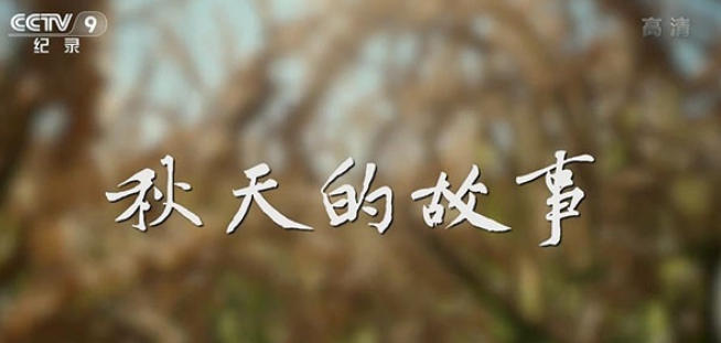 秋天的故事 2022的海报