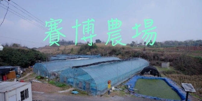 赛博农场 2026的海报