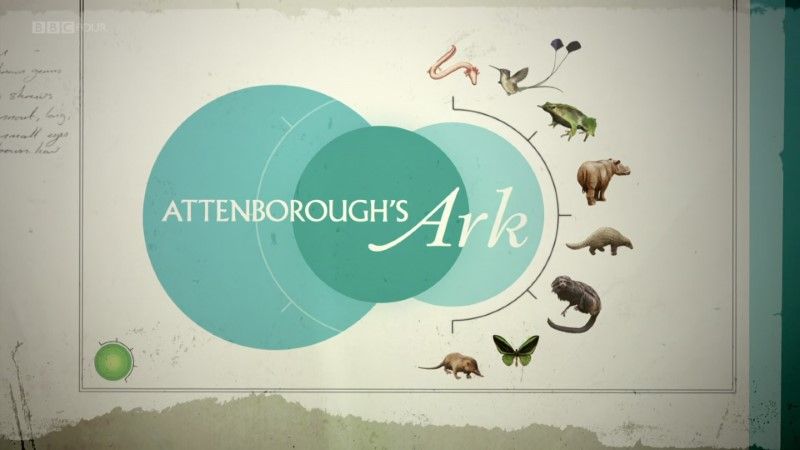 大卫·爱登堡的方舟 Attenborough's Ark (BBC)的海报
