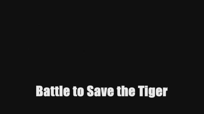 拯救老虎之战 Battle to Save the Tiger的海报