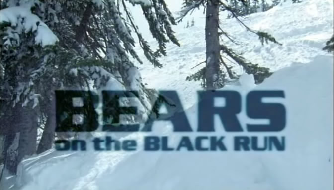 滑雪胜地的熊 Bears on the Black Run的海报