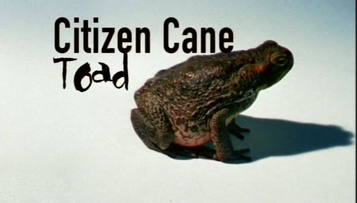 泛滥澳洲的蔗蟾蜍 Citizen Cane Toad的海报