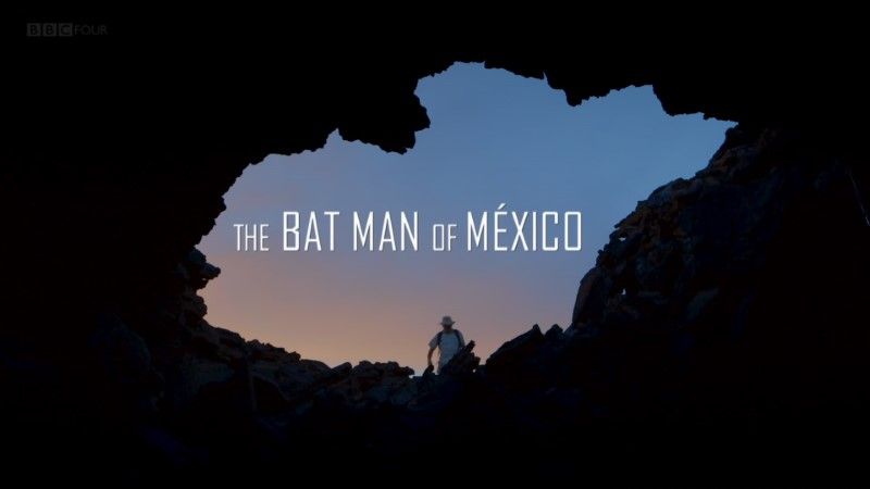 墨西哥蝙蝠侠 The Bat Man of Mexico (BBC)的海报