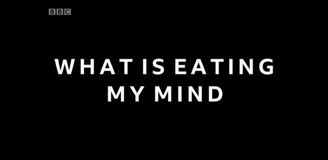 什么在侵蚀我的心智？ What is Eating My Mind的海报