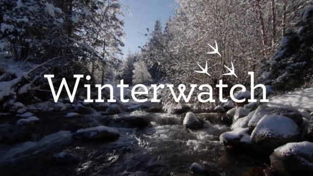 冬季观察 第十一季 Winterwatch 2023的海报