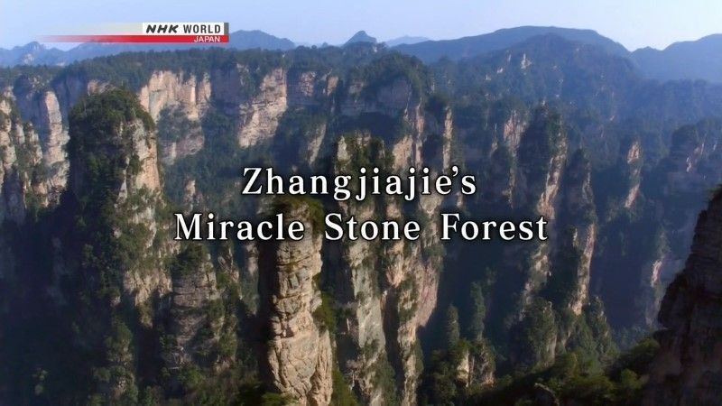 张家界奇迹石林 Zhangjiajie's Miracle Stone Forest的海报
