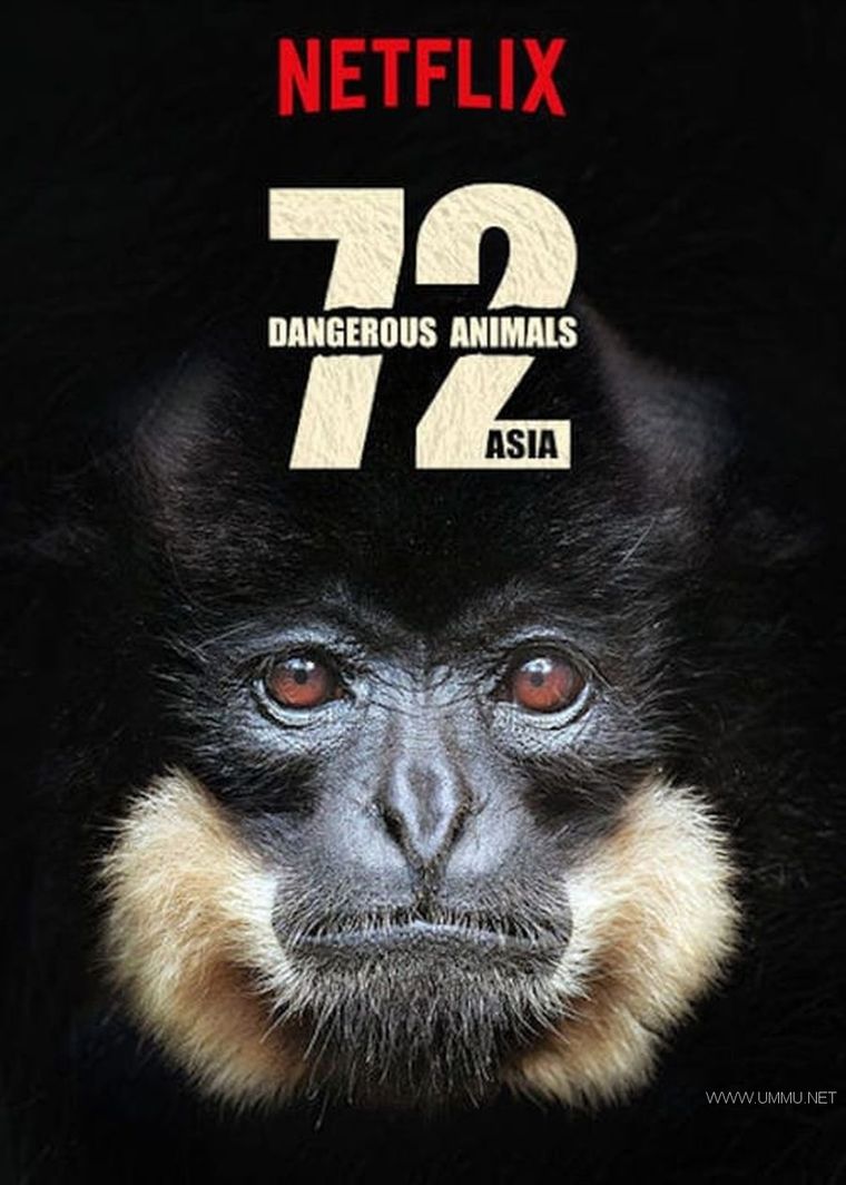 72 大危险动物：亚洲篇 72 Dangerous Animals: Asia的海报