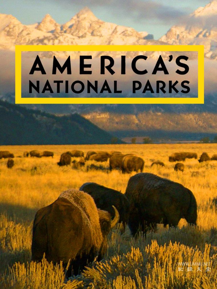 美国国家公园 Americas National Parks的海报