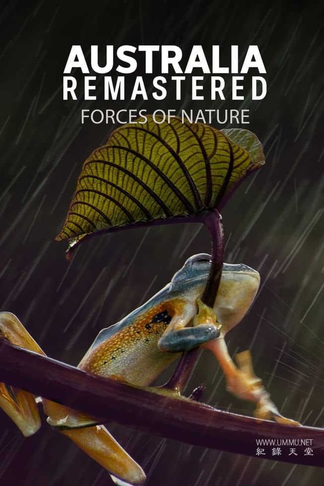 澳大利亚重制版 Australia Remastered的海报
