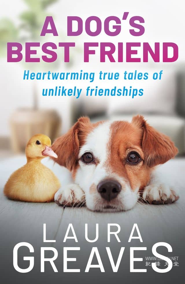 狗狗最好的朋友 Dog's Best Friend的海报