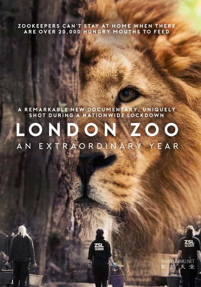 伦敦动物园：非凡的一年 London Zoo: An Extraordinary Year的海报