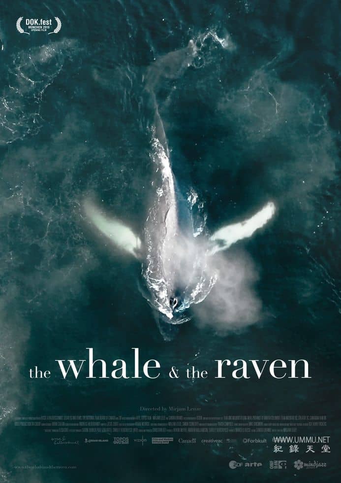 鲸鱼和乌鸦 The Whale and the Raven的海报