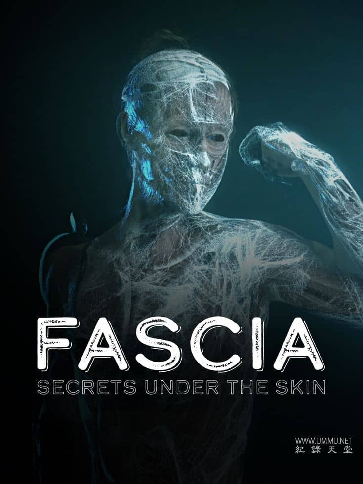 筋膜：皮肤下的秘密 Fascia: Secrets under the Skin的海报