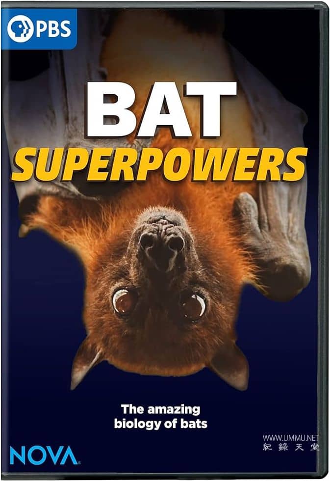 蝙蝠超能力 Bat Superpowers的海报