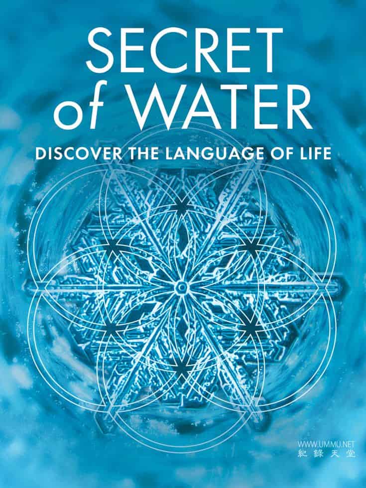 水的秘密 Secret Of Water的海报
