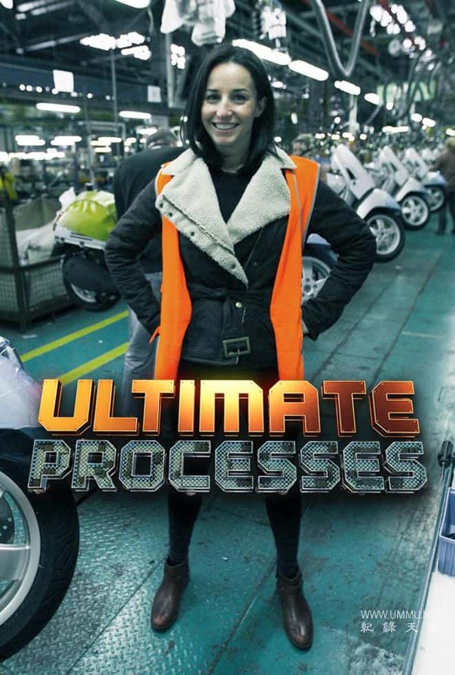 终极流程 Ultimate Processes的海报