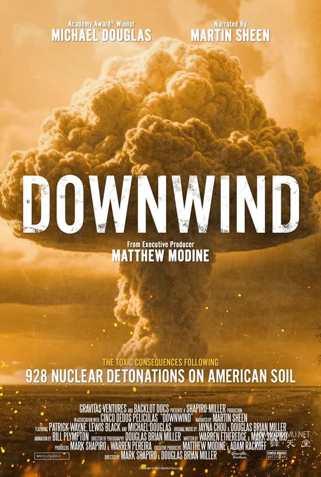 顺风 Downwind的海报