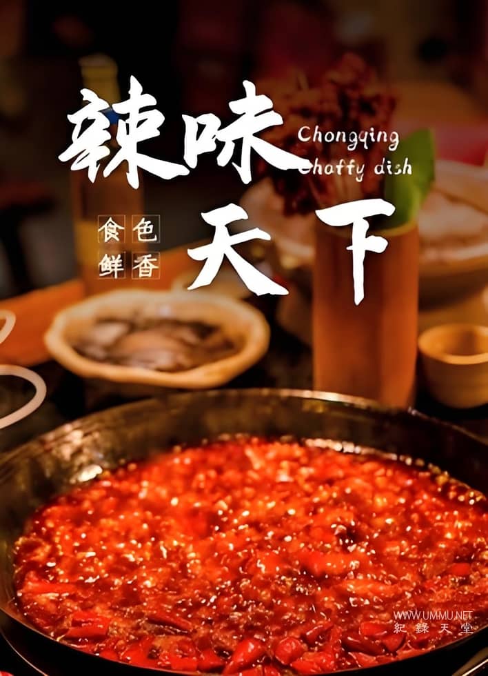 辣味天下 Chongqing Choffy Dish的海报