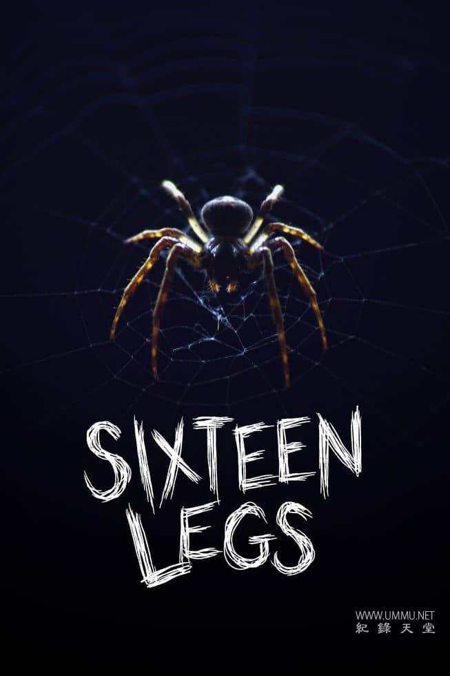 十六条腿 Sixteen Legs的海报