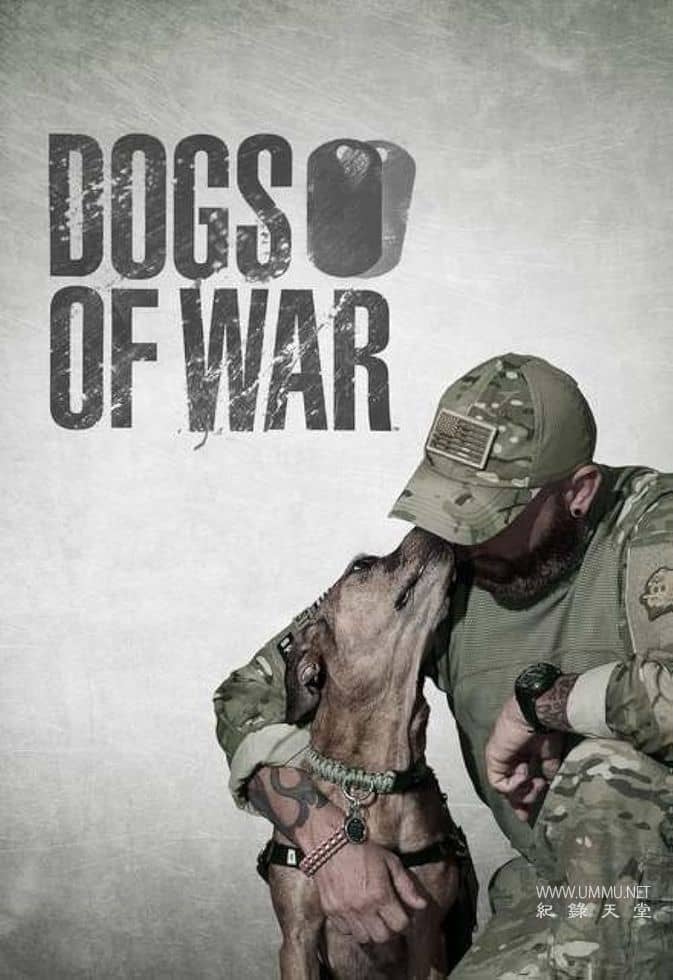 战后应激疗愈犬 Dogs of War的海报