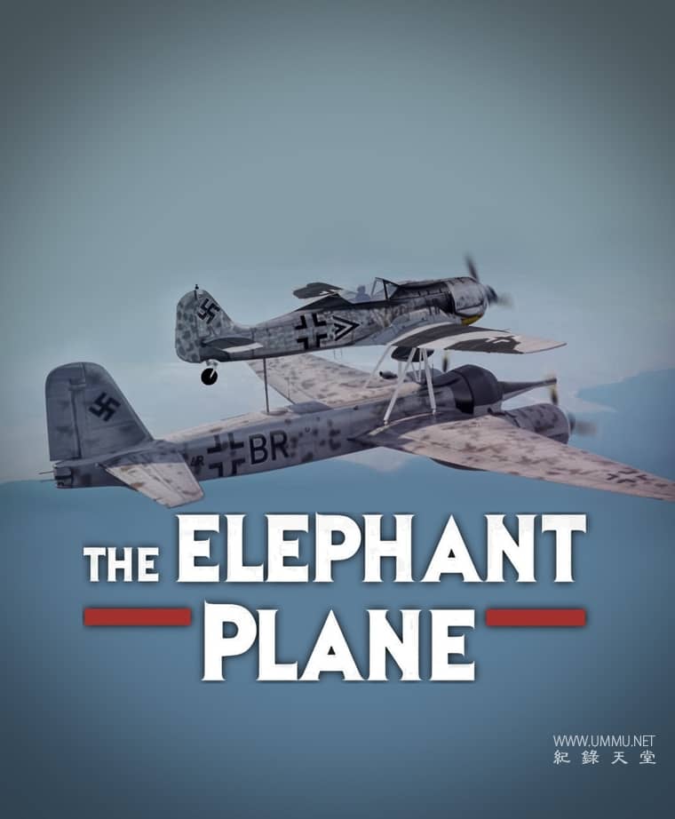 大象飞机 The Elephant Plane的海报