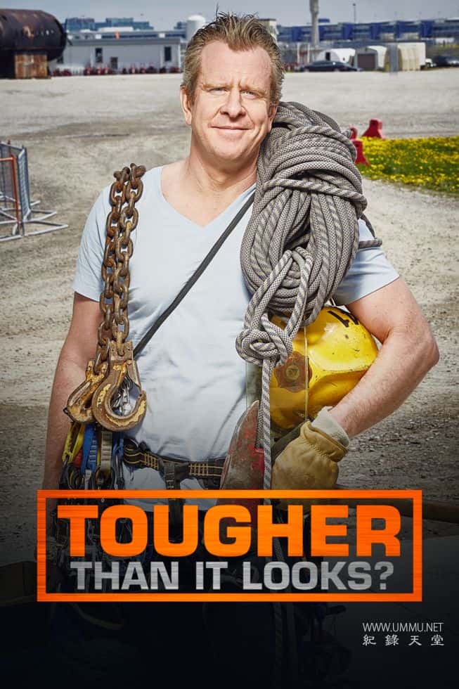 速成专家行不行 Tougher Than It Looks的海报