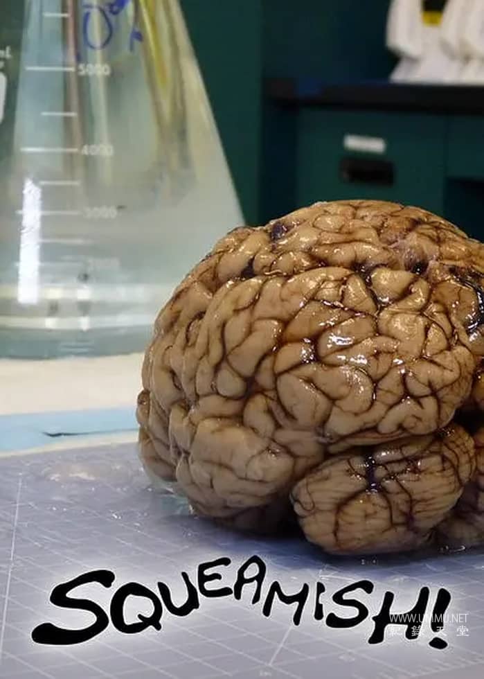 全球最恶心 Squeamish!的海报