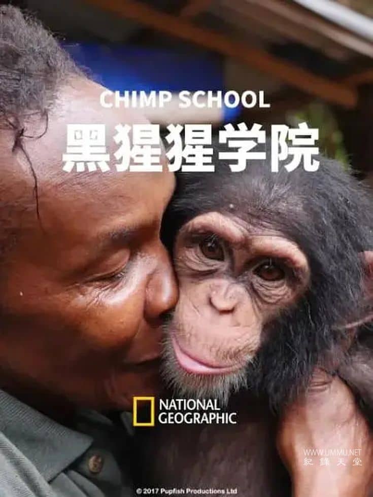 黑猩猩学院 Chimp School的海报