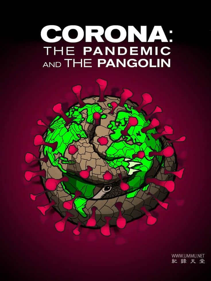 冠状病毒：流行病与穿山甲 Corona: The pandemic and the pangolin的海报