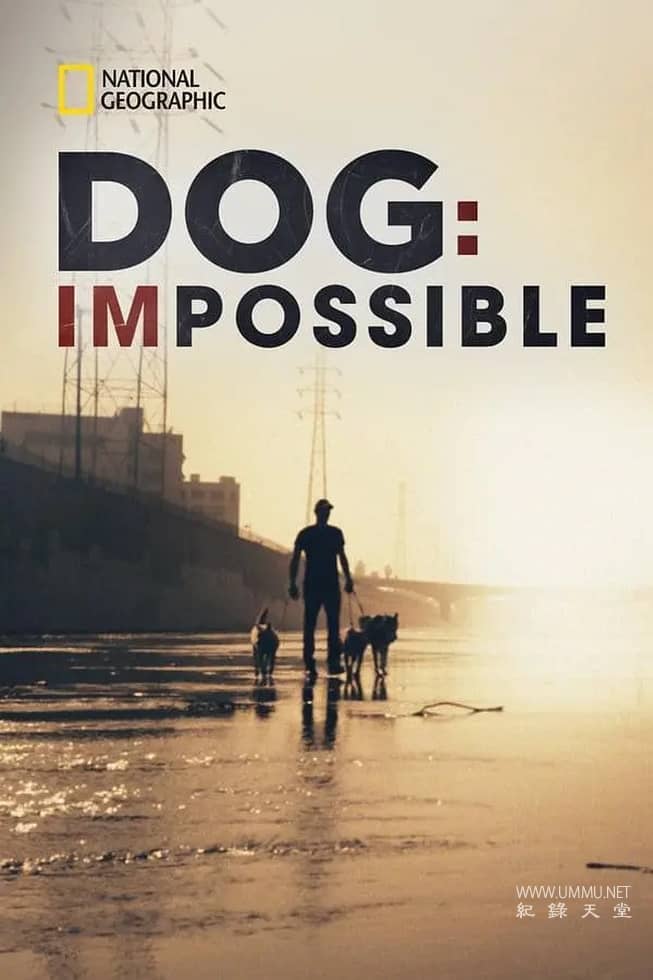 狗：不可能 Dog: Impossible的海报