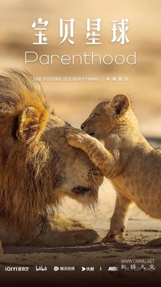 宝贝星球 Parenthood的海报
