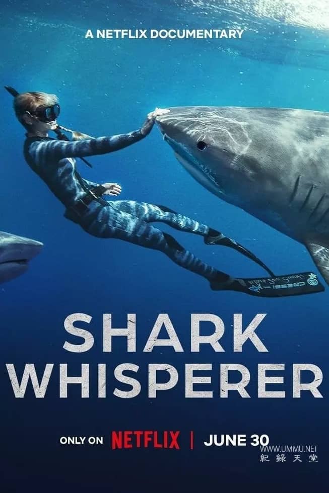 鲨语者 Shark Whisperer的海报