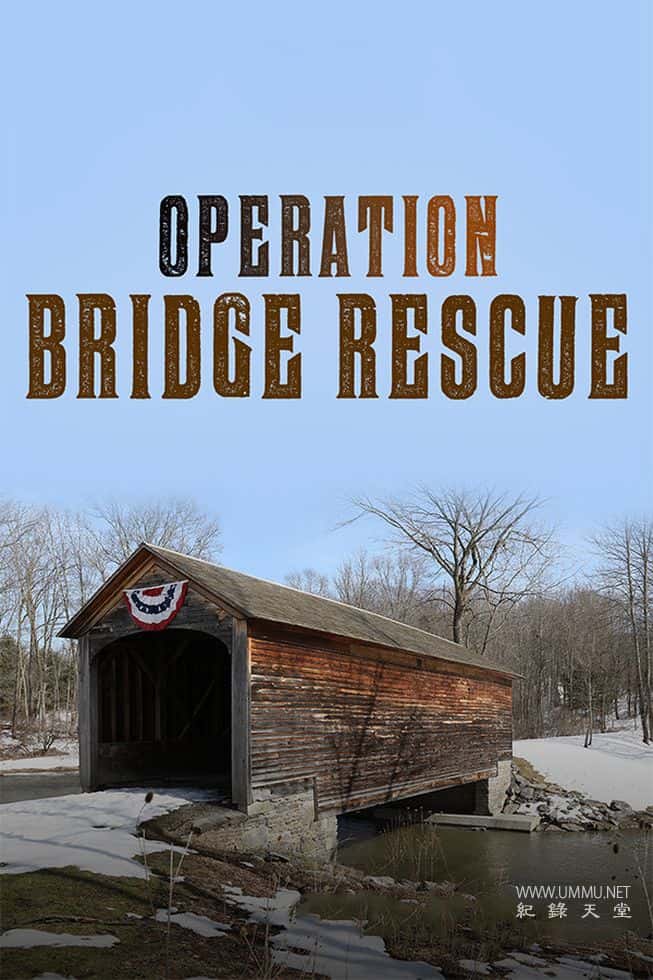 桥梁救援行动 Operation Bridge Rescue的海报