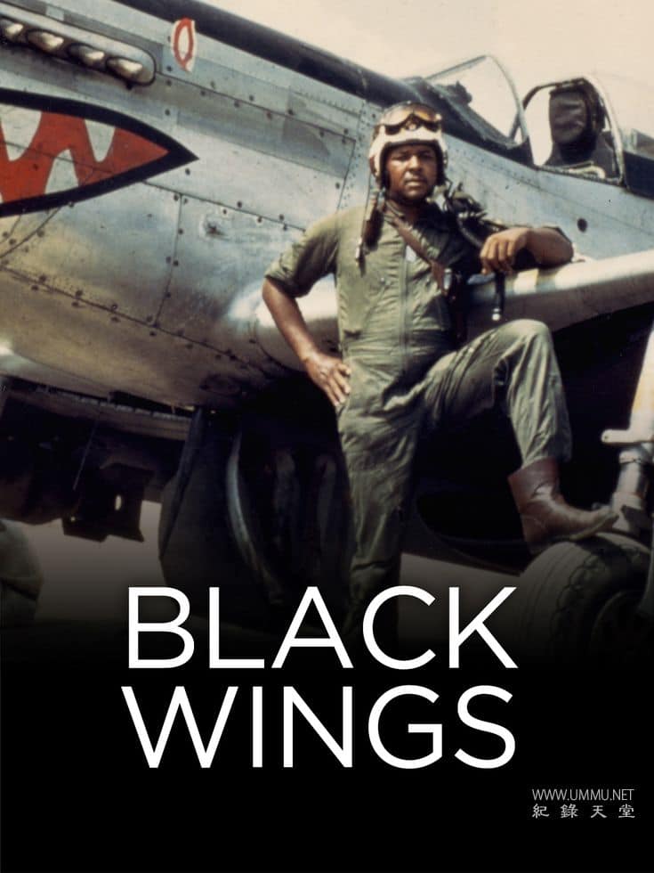 黑翼 Black Wings的海报