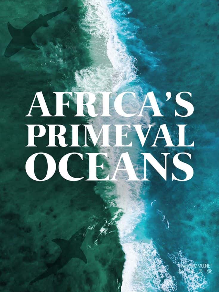 非洲原始海洋 Africas Primeval Oceans的海报